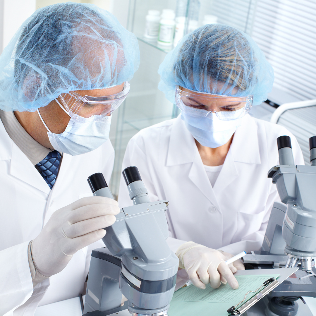 Forschende im Labor Forschende im Labor